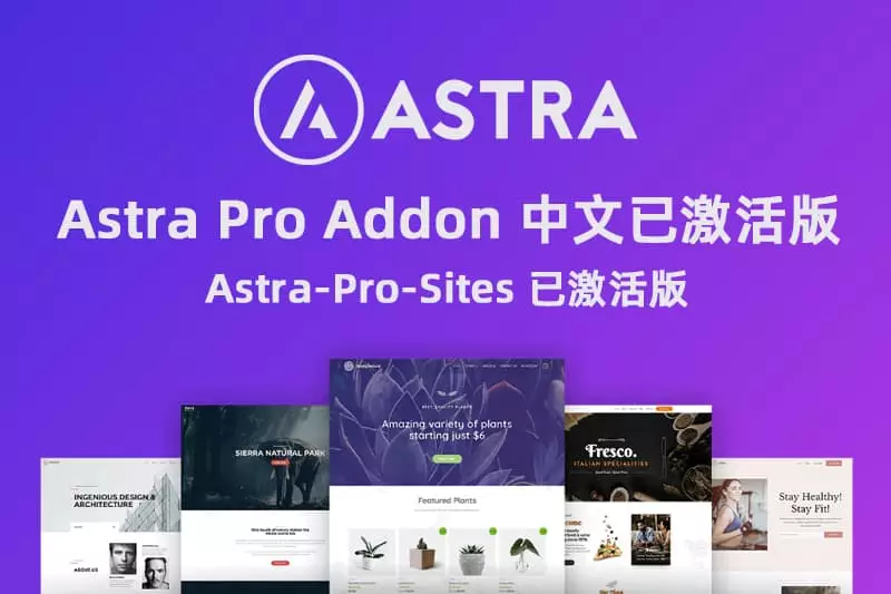 Astra Pro Addon v4.0.0破解版已激活下载+Astra v3.9.4免费主题模版下载-预设大师